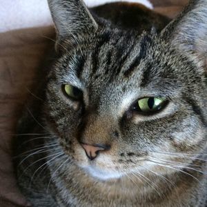 Meet your Posher, Carolyn